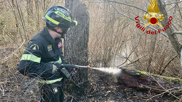 Fiamme nel bosco: intervento dei vigili del fuoco in una zona impervia