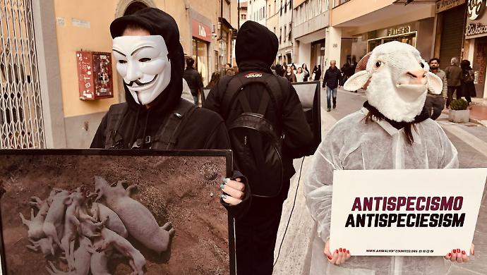 Attivisti in azione in piazza San Jacopo