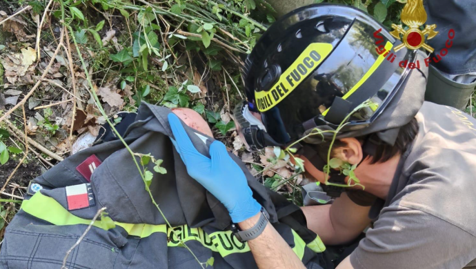 Precipita in un dirupo durante l'escursione. Salvato dai Vigili del fuoco
