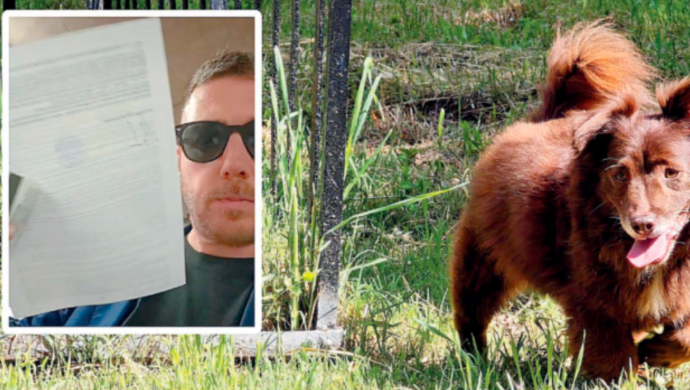 "Il mio cane Choco ucciso cos&igrave;. Ora voglio verit&agrave; e giustizia". Il racconto di Leonardo Magi, la denuncia, la ricerca del testimone