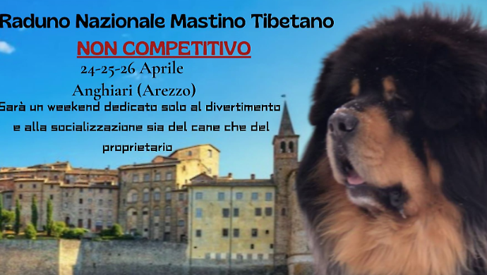 Dal 24 al 26 aprile c'&egrave; il raduno nazionale del mastino tibetano