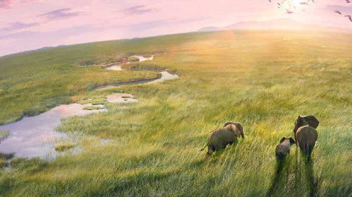 Planet Earth III&nbsp;