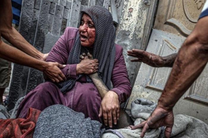 “Irreplaceable” (Insostituibile) - foto scattata da Ali Jadallah