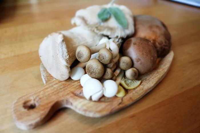 Arezzo, Festa dei funghi oggi domenica 20 ottobre a Villa Severi. Premio al porcino più grande, mostra micologica, caccia al tesoro e tanto altro