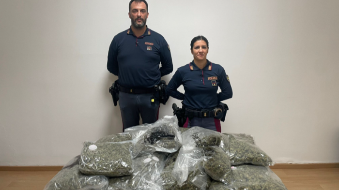 La marijuana sequestrata