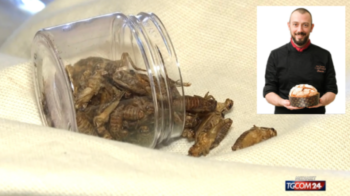 Davide Murro, chi &egrave; l'ideatore del PanCr&igrave;cr&igrave; il nuovo dolce di Natale creato con gli insetti: &egrave; tra i migliori panettoni del 2024