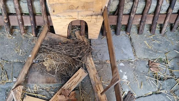 Distrutto l'allestimento del presepe
