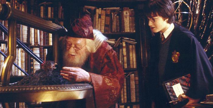 Harry Potter e la camera dei segreti stasera in tv gioved&igrave; 23 gennaio su Italia 1: trama, cast e curiosit&agrave; del secondo capitolo della saga