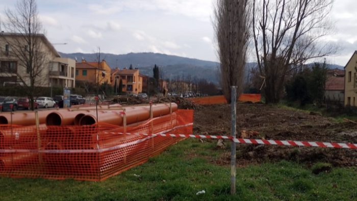 Sessanta pioppi spariscono lungo il Castro, cittadini perplessi per il nuovo taglio di alberi