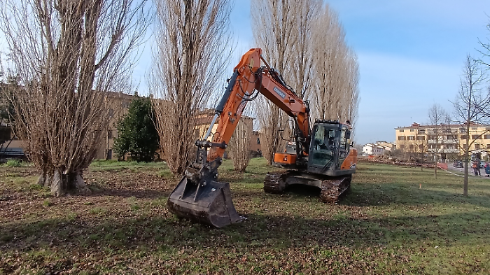 Taglio degli alberi