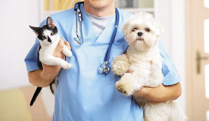 Allertata la Asl Veterinaria