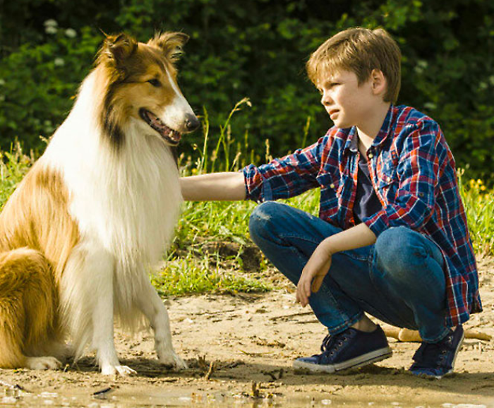 Lassie torna a casa