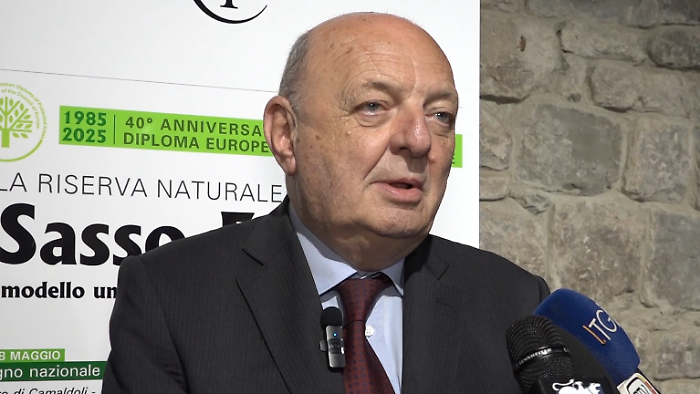 Gilberto Pichetto Fratin