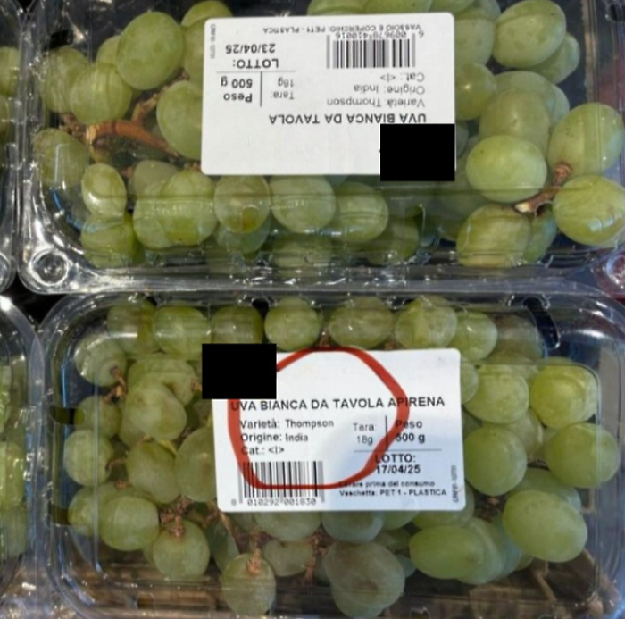 L’uva dell'India nei supermercati italiani: una vergogna a chilometri zero