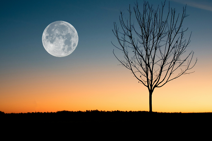 La luna