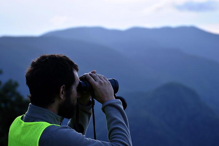 Lavoro al parco delle foreste casentinesi
