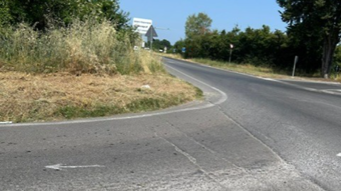 Gli operai sono passati a tagliare l'erba