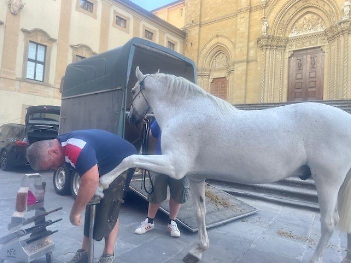Il cavallo mentre viene ferrato