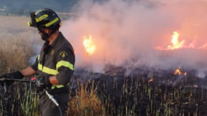 Vigili del fuoco