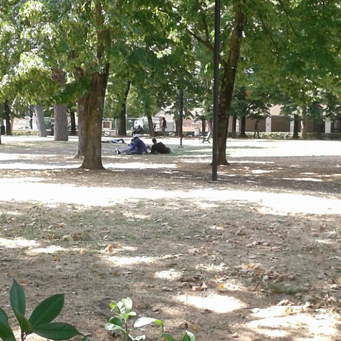 Campo di Marte