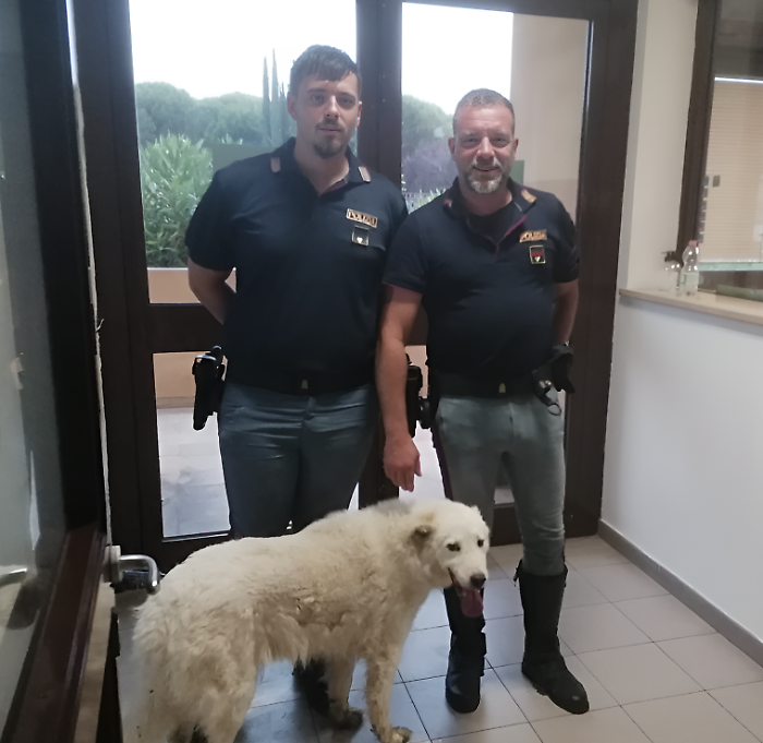 Jane salvata Andrea ed Emanuele