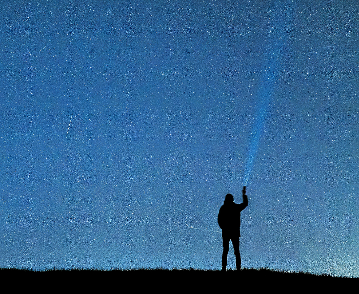 stelle cadenti