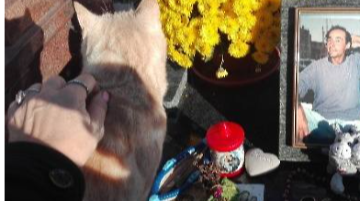 Il gatto sulla tomba di Lorenzo