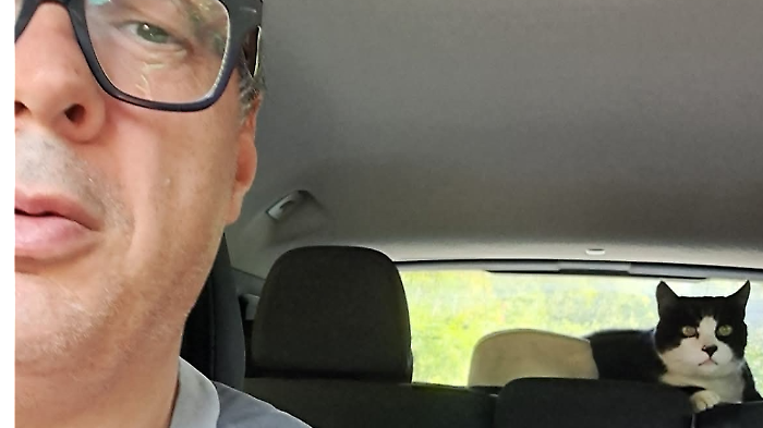 Il sindaco e il gatto