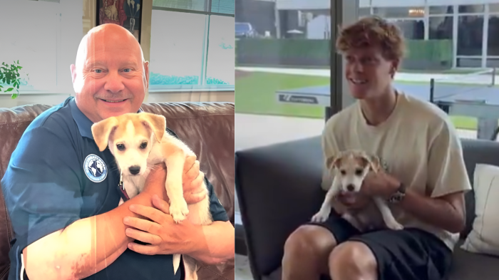 Jannik Sinner e il cucciolo abbandonato che trova casa. La commovente storia del torneo di Cincinnati: il piccolo Adrin adottato e ribattezzato: ora è Janny. Il video