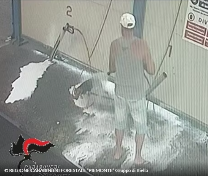 Cane all'autolavaggio, legato e lavato con la lancia ad alta pressione. Il proprietario denunciato per maltrattamento