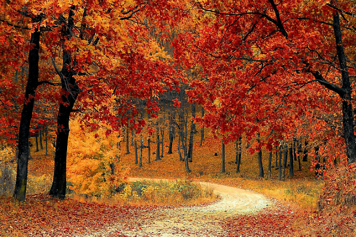 autunno