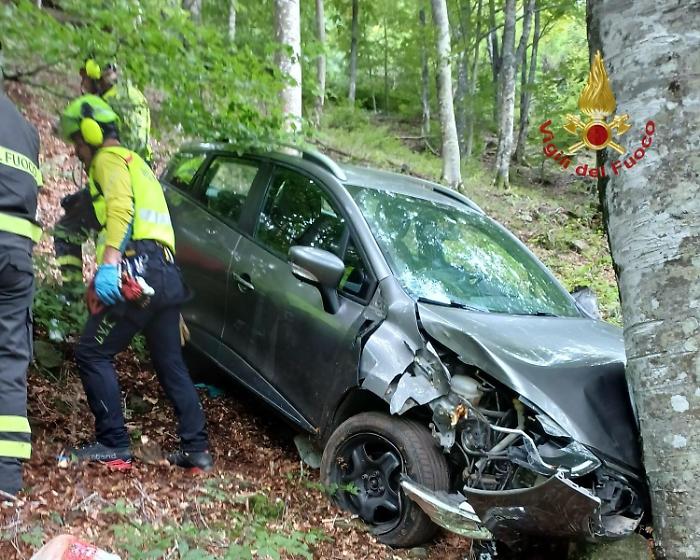L'auto precipitata