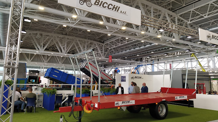 Bicchi