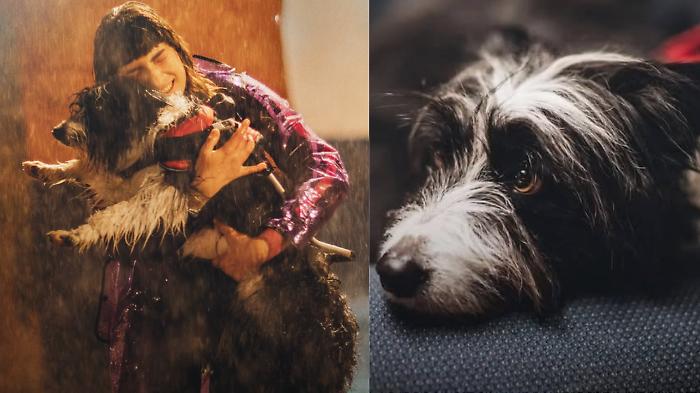 Blanca e Liguori di nuovo insieme tra indagini e vecchi sentimenti: scopri i benefici dei cani guida e della pet therapy