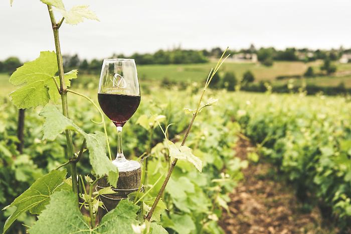Sansepolcro, sei aziende tra Toscana e Umbria protagoniste della prima edizione di Bevi. La grande passione per il vino
