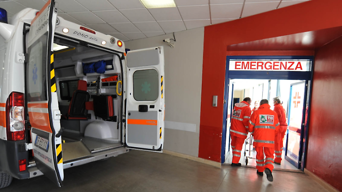 Cade da un'altezza di 4 metri mentre raccoglie le olive: 80enne soccorso e trasferito in elicottero a Careggi