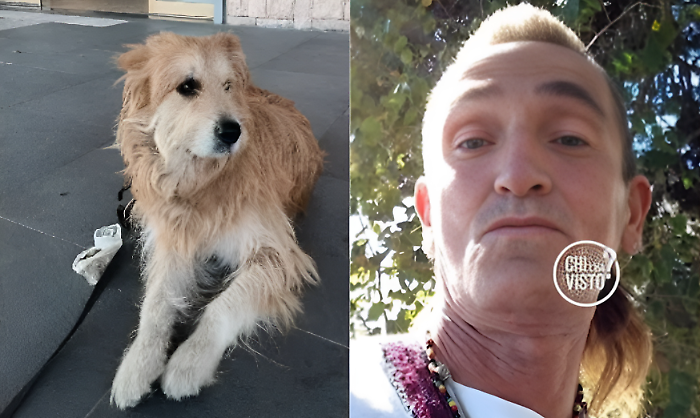 Il cane Magic aiuta a ritrovare il suo padrone scomparso: il mistero e il miracolo di Renè Tassi a Chi l'ha visto?