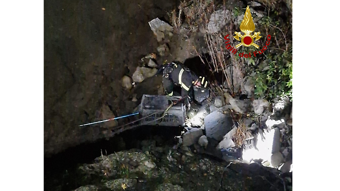 Vigili del fuoco salvano istrice