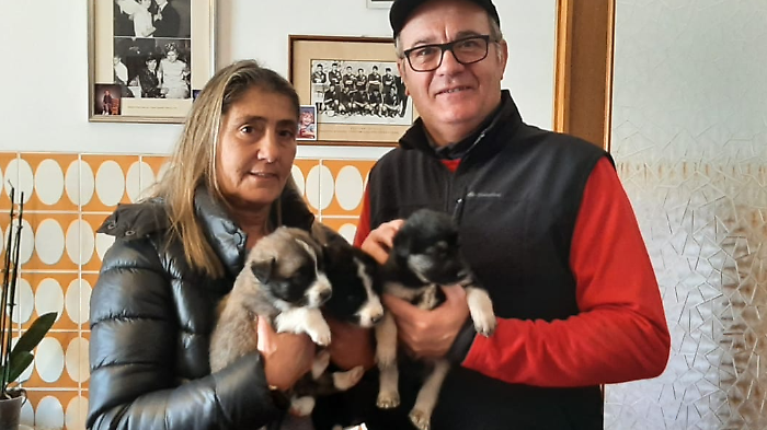 Stefania Bisteralli con il sindaco Luciano Meoni e i tre cuccioli