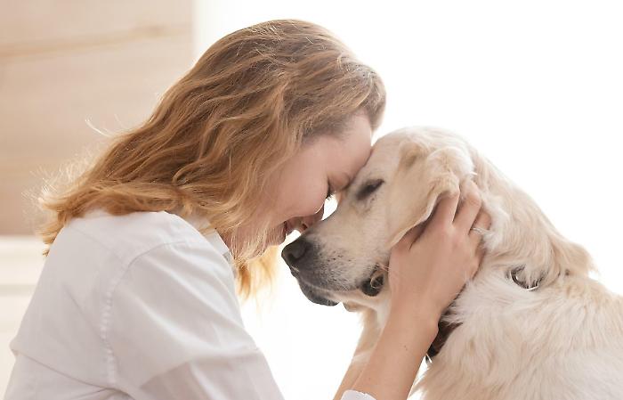 Cani e gatti riscrivono il concetto di famiglia. Perch&eacute; sempre pi&ugrave; italiani scelgono un animale domestico. Ma attenzione alle adozioni per impulso 