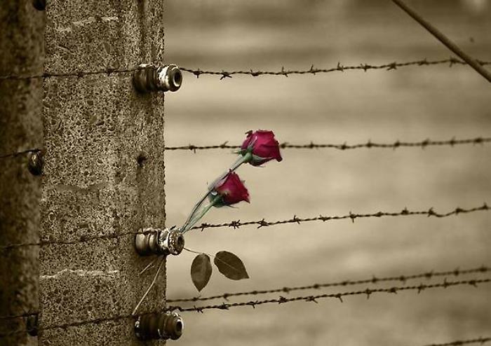 Giorno della Memoria: tutti gli eventi ad Arezzo e provincia