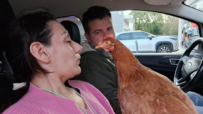 Simona Marchese e Luigi Incerti Medici