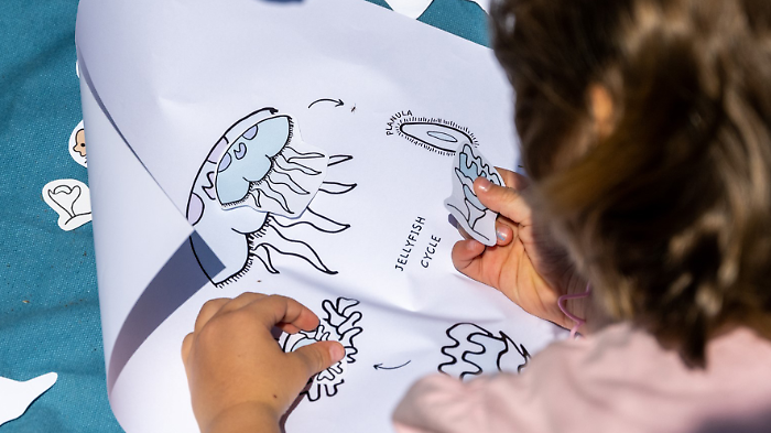 Scuola & lavoro, ecco l'inserto: dal progetto Sea Beyond del Gruppo Prada agli Its