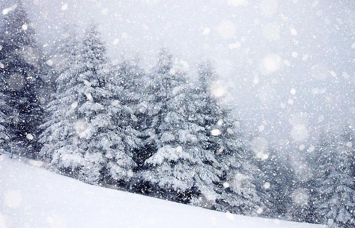 La neve torna a imbiancare i monti toscani: quasi mezzo metro sull'Amiata. Freddo e pioggia anche nelle prossime 48 ore