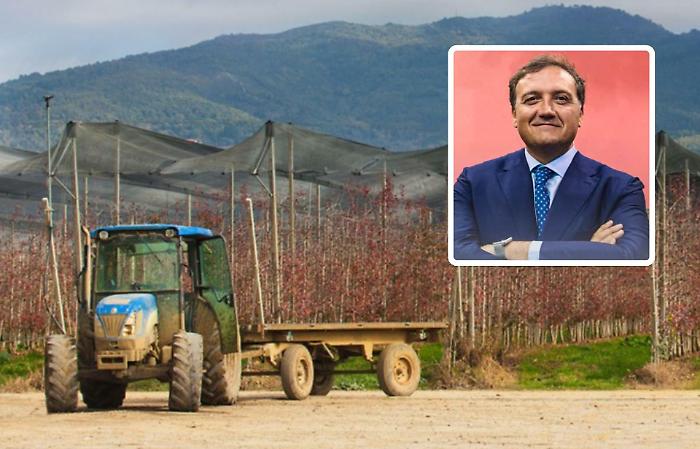 Due milioni di euro ai produttori di frutta e verdura. Marras: "Approvati tre programmi operativi"