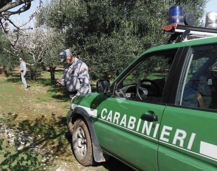 Incendi, veleni e traffici illegali: 72 mila controlli, migliaia di reati scoperti e la battaglia per difendere la Toscana 