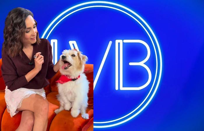 La Volta Buona grandi firme, da Claudio Cerasa a Massimo Gramellini. Poi Iva Zanicchi e Sanremo. Le anticipazioni