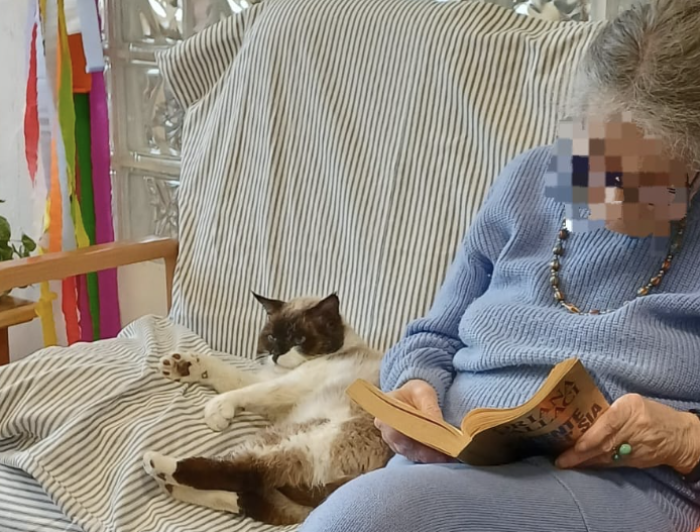 L'incredibile storia del gatto Coffe: investito, salvato e poi adottato dagli anziani del Centro diurno Malpighi