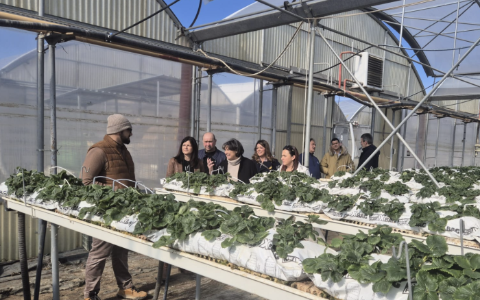 L'agricoltura ha bisogno dell'acqua di Montedoglio. L'azienda Peruzzi: "Colture fuori terra a rischio, servono risorse idriche di qualit&agrave;"