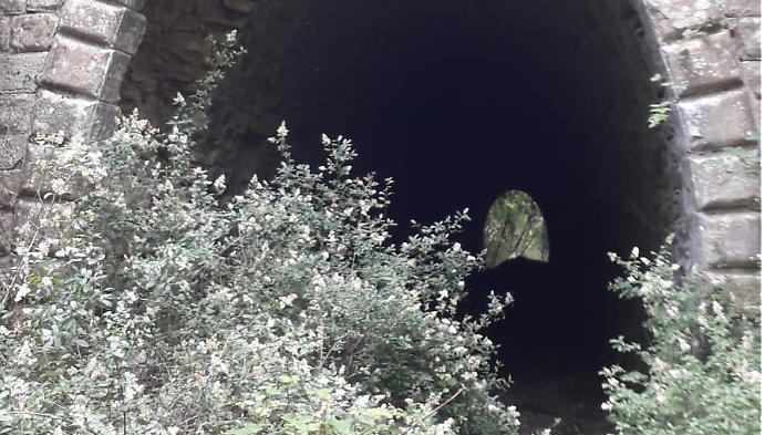 Una delle gallerie del vecchio trenino